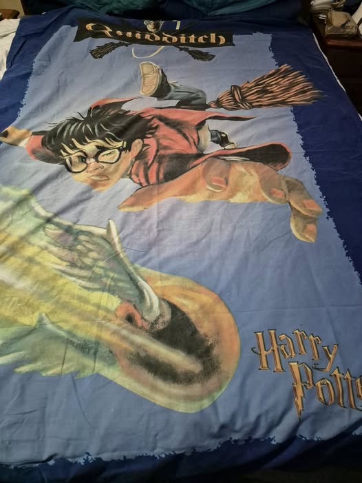 Harry Potter Quidditch Single Duvet Cover