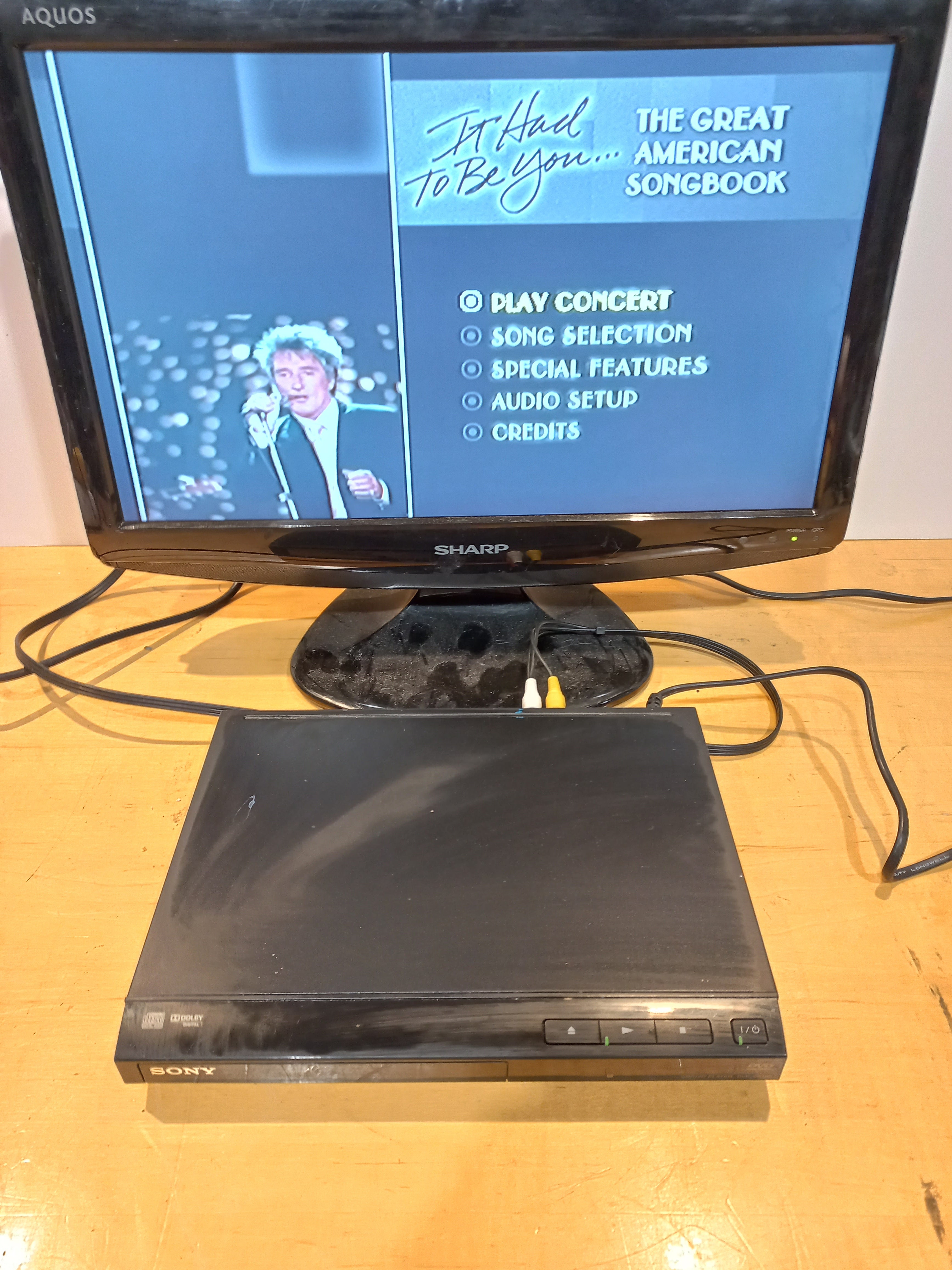 💿 Sony DVD Player – Model DVP-SR110