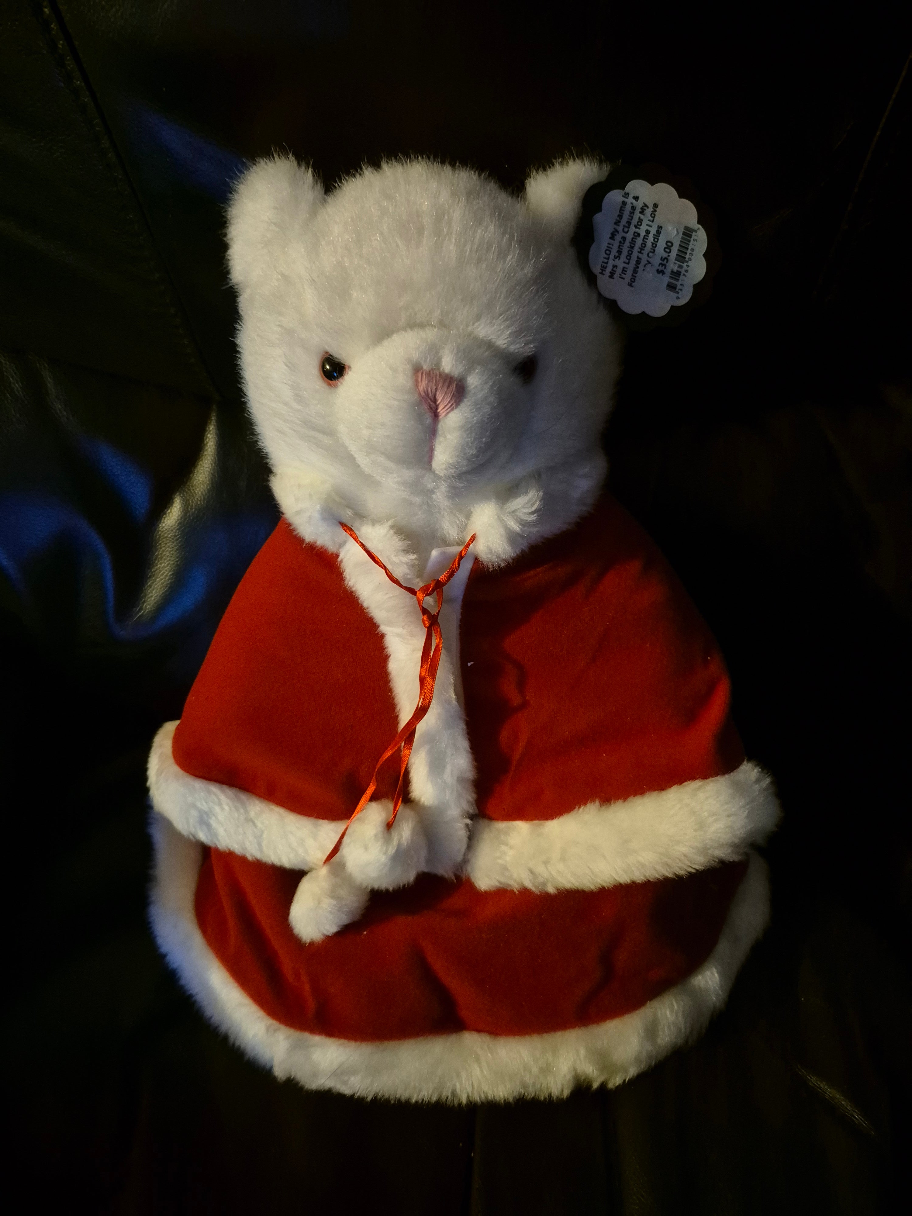 🎄 Brand New Mrs. Santa Claus Teddy 🎄