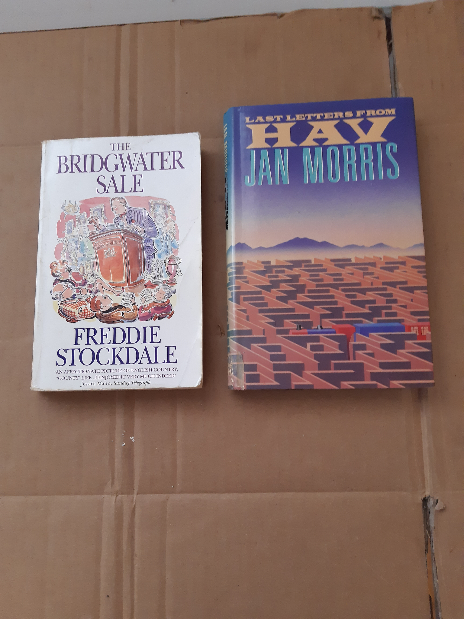 Fiction Book Bundle – 2 Titles