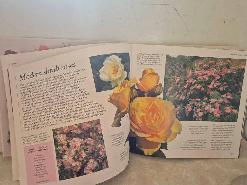 Roses - Book on Growing and Displaying Roses