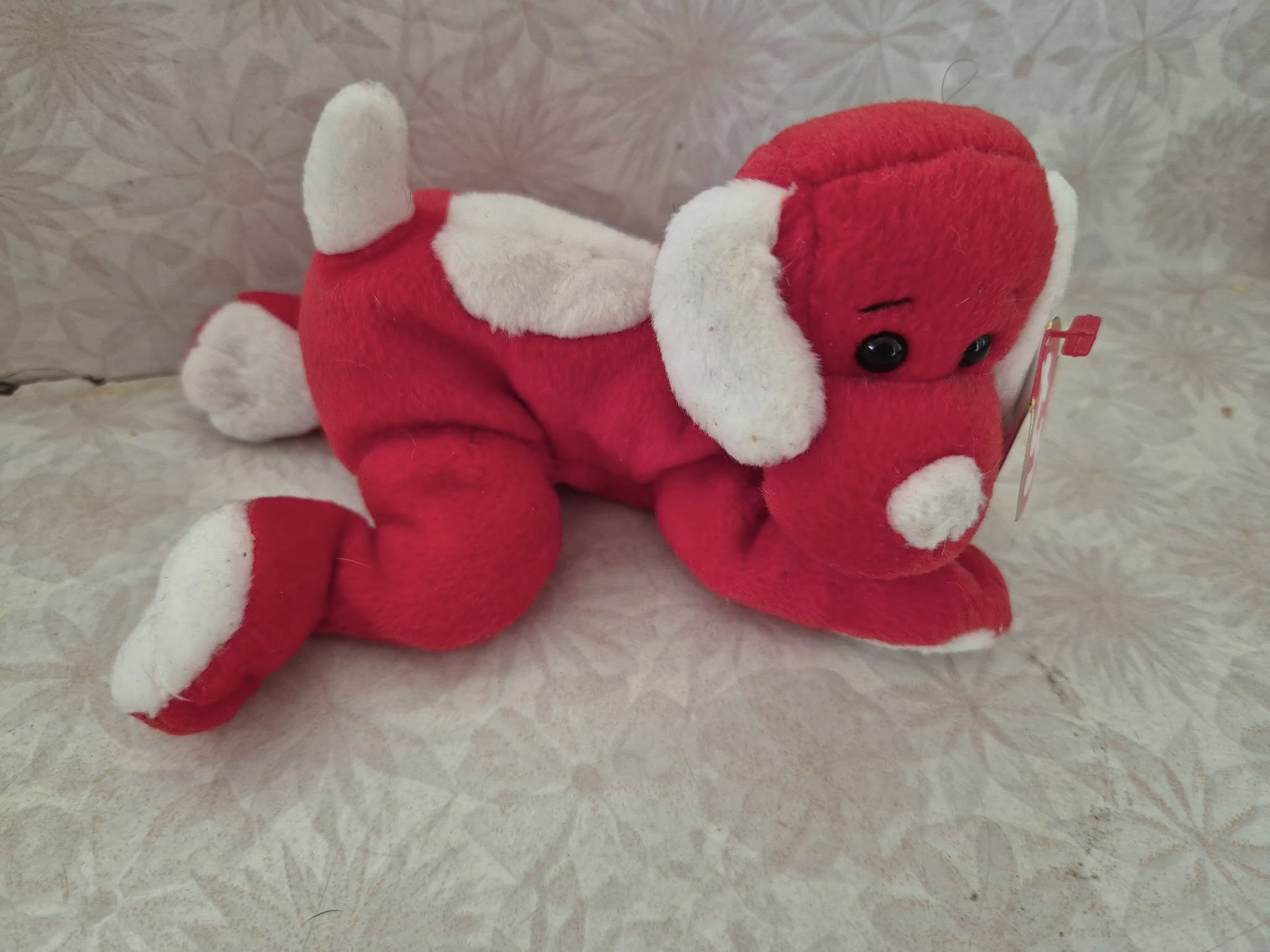 TY Beanie Pup Sugar-Pie – Brand New  (With Tag)